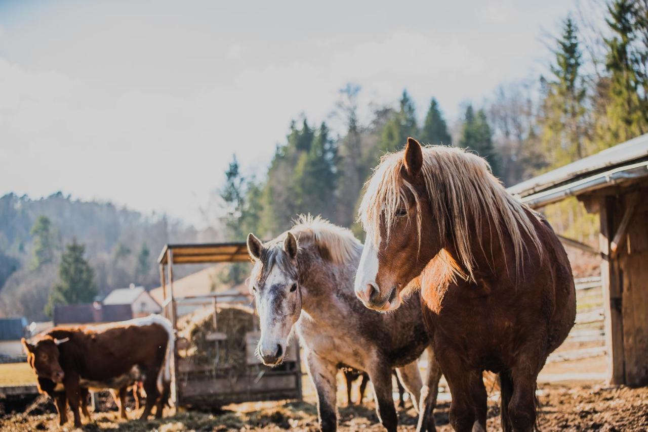 Farm Stay Zurej Sentjur Luaran gambar