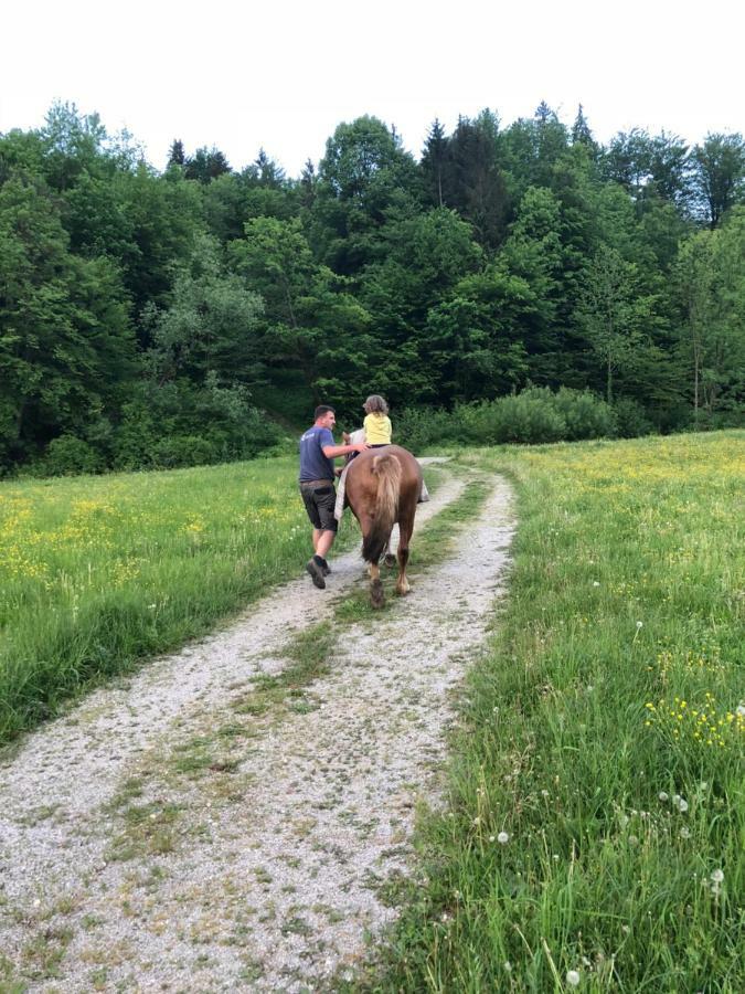 Farm Stay Zurej Sentjur Luaran gambar